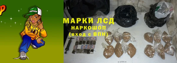 ГАЛЛЮЦИНОГЕННЫЕ ГРИБЫ Алзамай