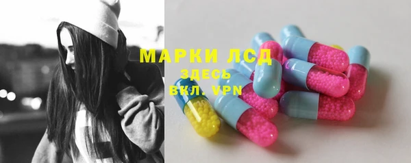 ГАЛЛЮЦИНОГЕННЫЕ ГРИБЫ Алзамай