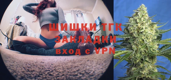молекула духа Алексин